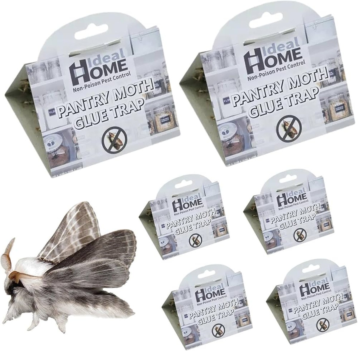 Bobkový list do mouky: забытý trik babiček proti molům a švábům - image 2