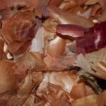 Cibulová slupka za radiátorem: trik, který snižuje účty o čtvrtinu