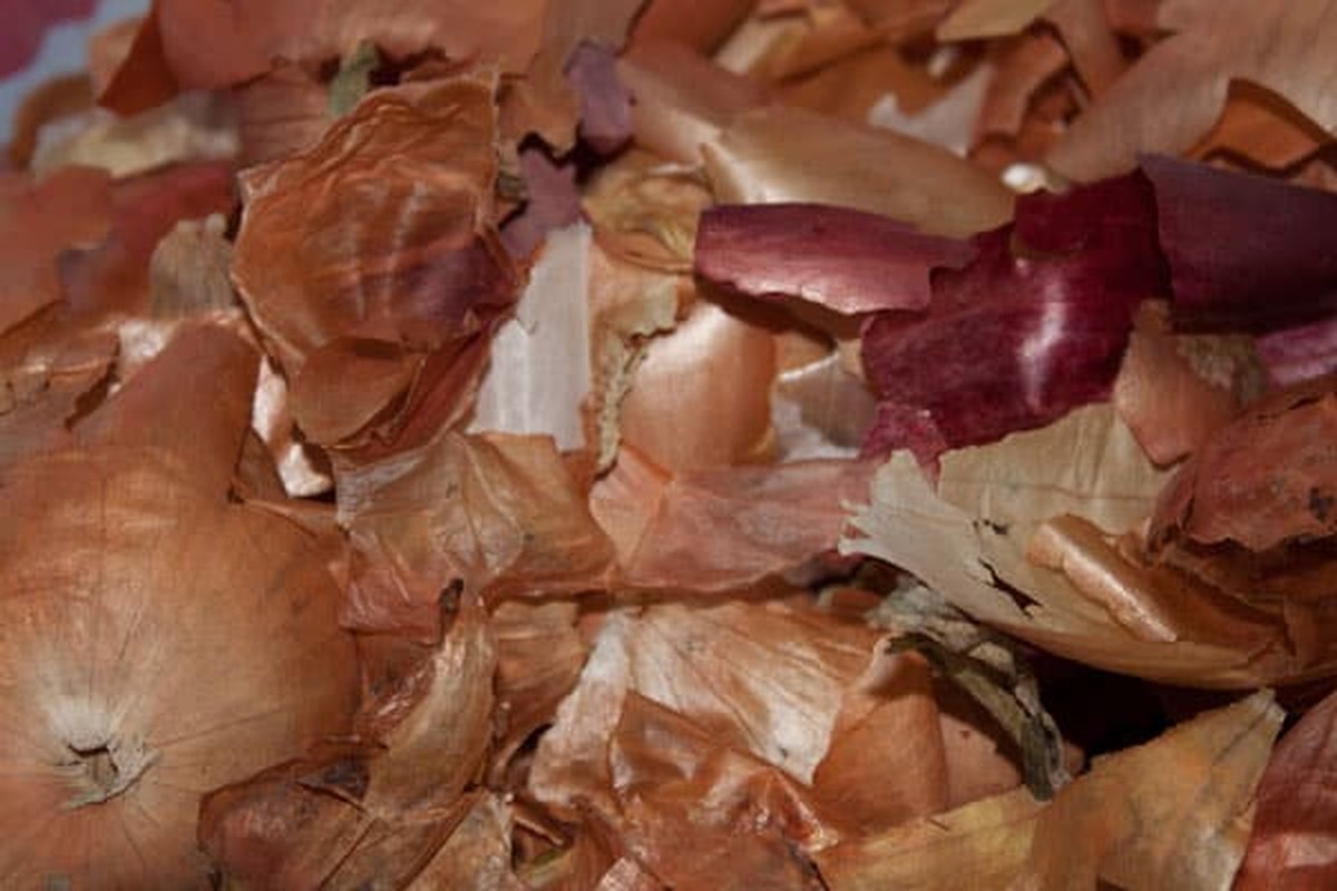 Cibulová slupka za radiátorem: trik, který snižuje účty o čtvrtinu