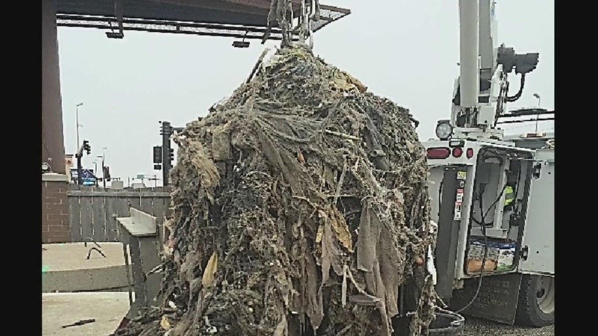 Co vám instalatéři zakázali sypat do odpadu – a proč - image 2