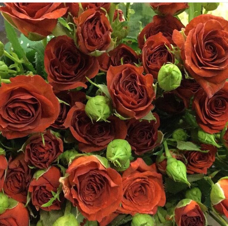 Hnědý cukr do vásy se květinami: proč květiny vydržují dvakrát déle