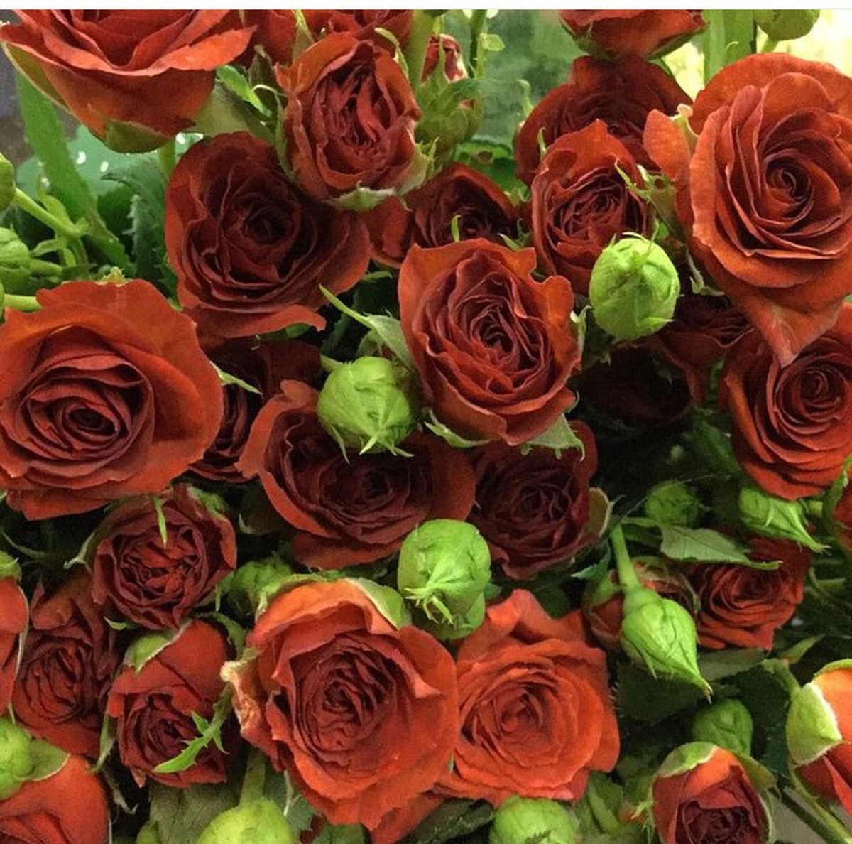 Hnědý cukr do vásy se květinami: proč květiny vydržují dvakrát déle