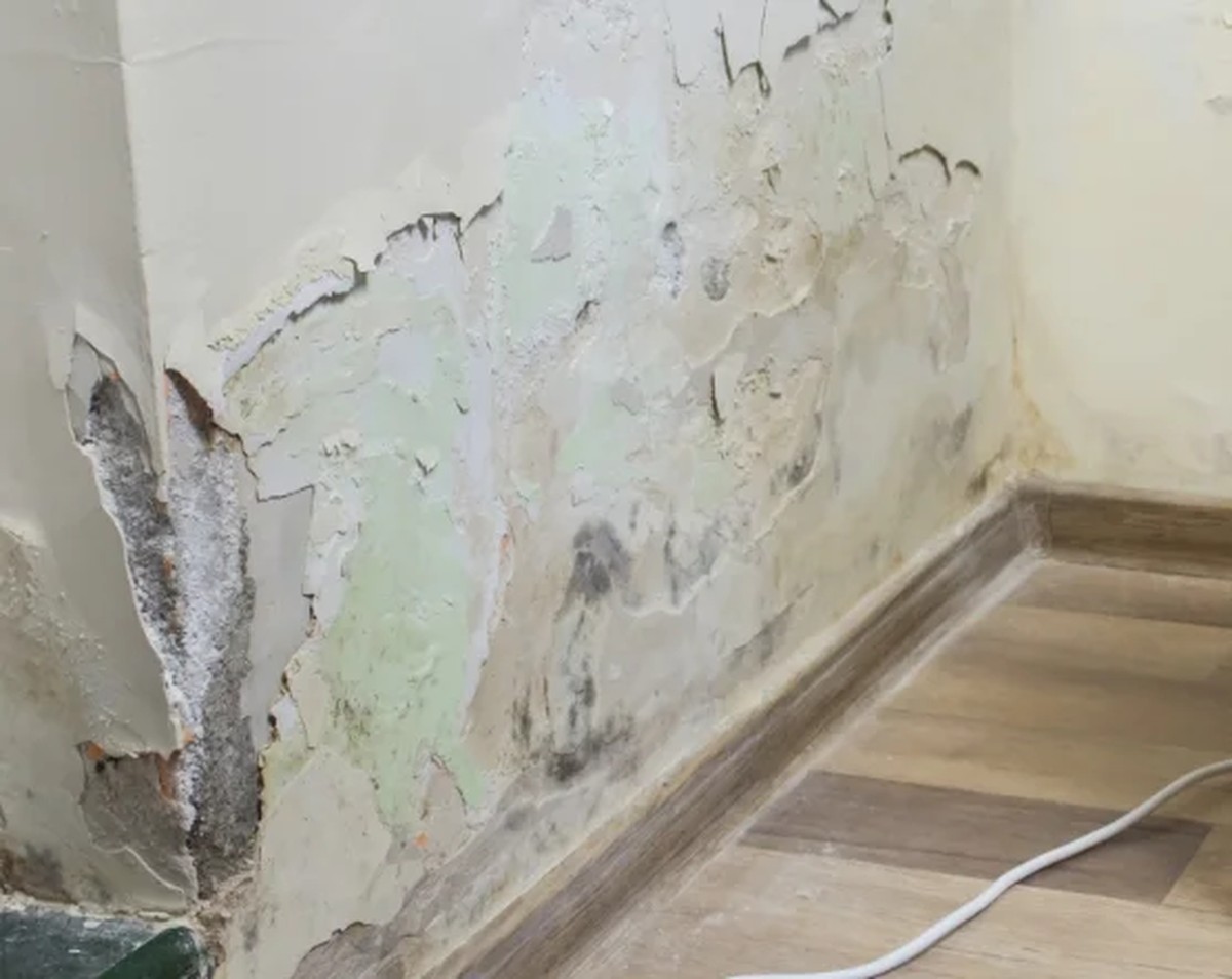 Instalatéři varují: nikdy netlačte sprchu stejně jako vaši partnerku - image 2