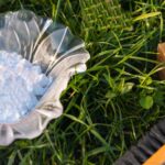 Jedlá soda v trávníku: trik profesionálních zahradníků