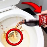 Kofola v záchodě přes noc: chemik vám řekne proč to funguje