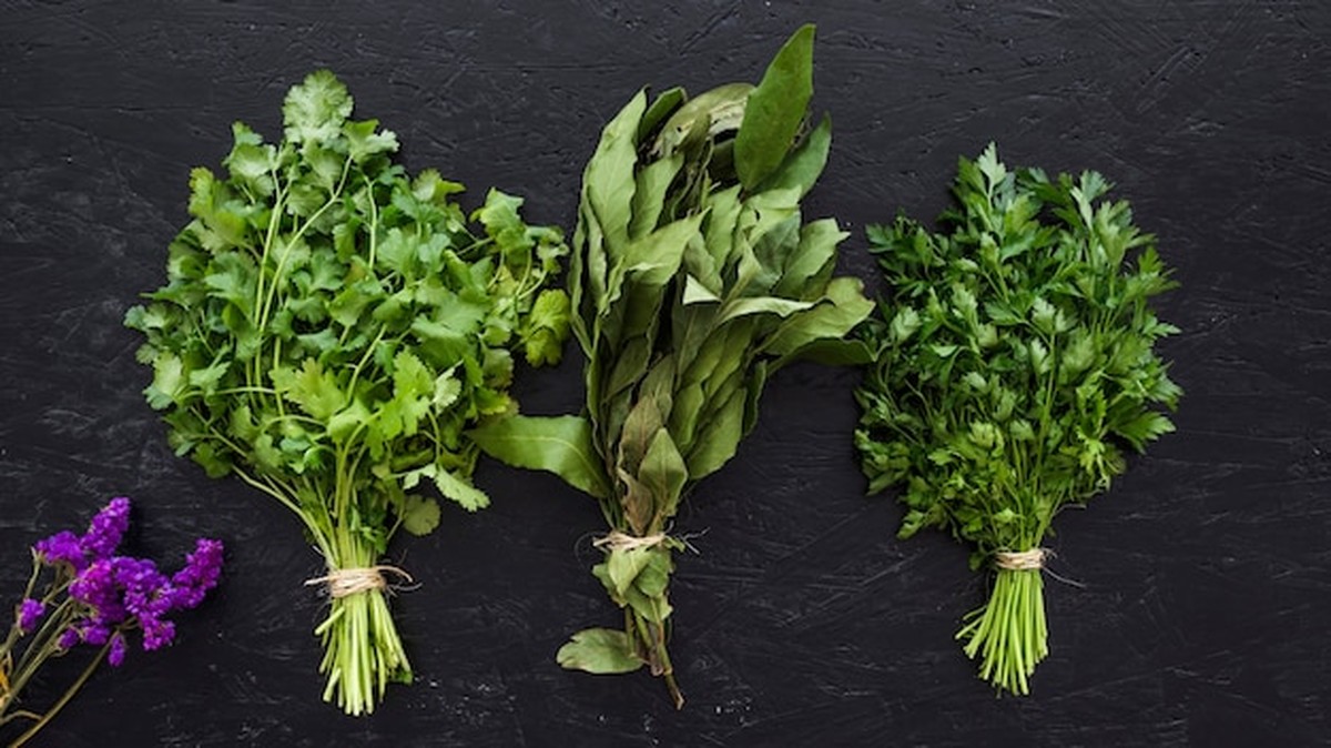 Kuchařský trik: svěží bylinky vydržují až 10 dní, když víte jak - image 2