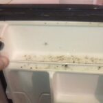 Ocet v ledničce sežere plíseň, kterou čistidla nezvládnou