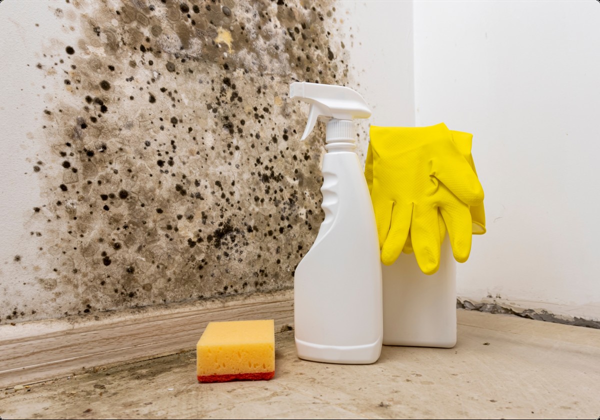 Ocet v ledničce sežere plíseň, kterou čistidla nezvládnou - image 1