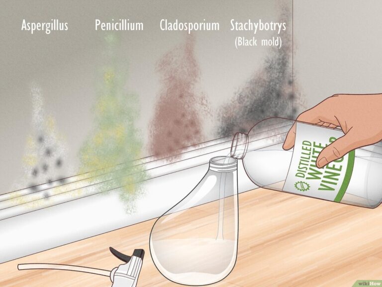 Octový spray namísto nákladné chemie: přírodní řešení proti plísni