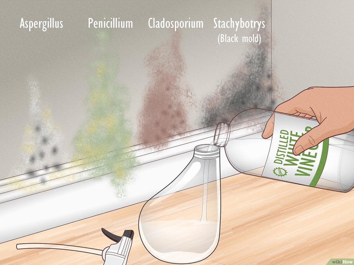Octový spray namísto nákladné chemie: přírodní řešení proti plísni