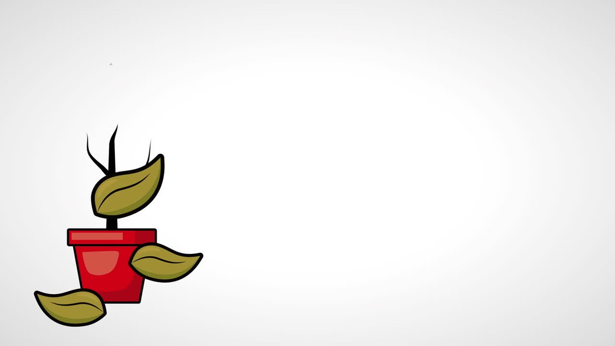 Proč svou rostlinu střídavě topíte: běžná chyba v péči - image 1