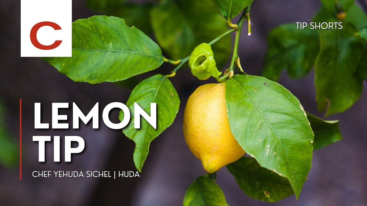 Proč všichni renomovaní kuchaři přidávají do vařené vody citron - image 2