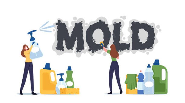 Sodovka ve sklenici proti plísním? Trik, kterým se švédští tesaři řídí