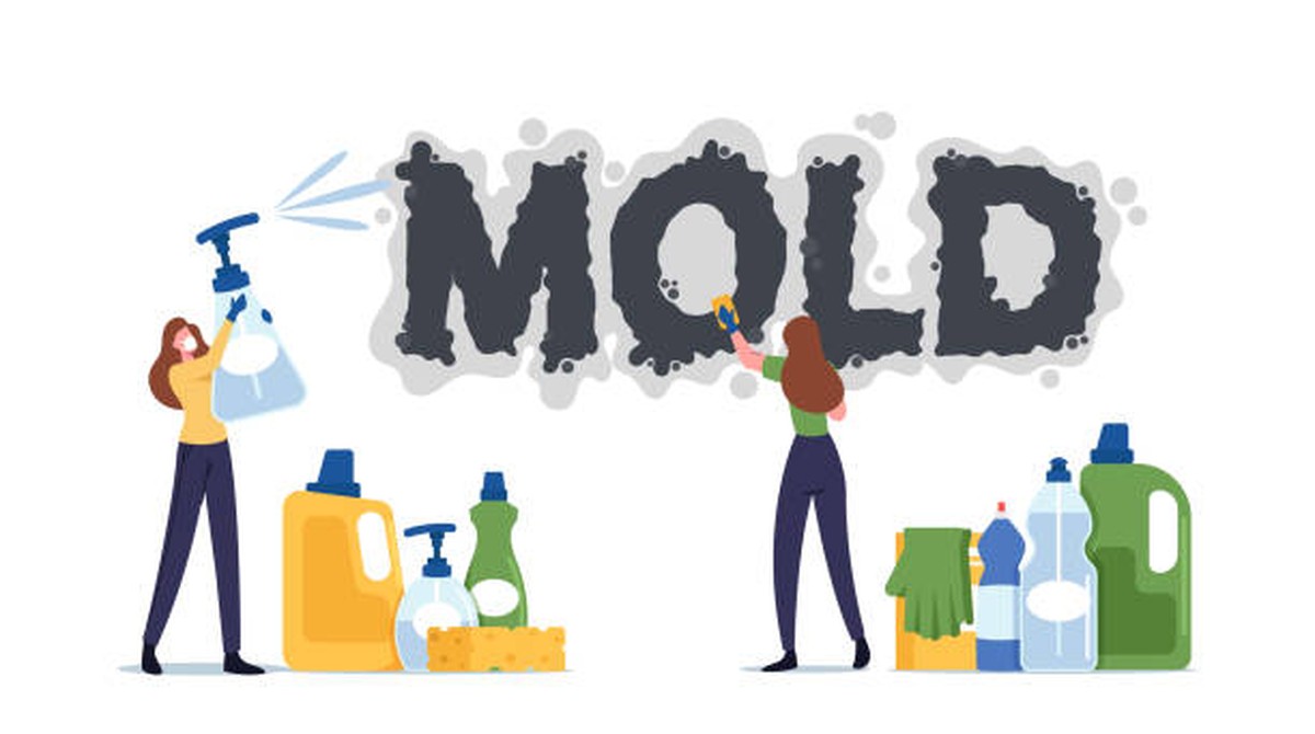 Sodovka ve sklenici proti plísním? Trik, kterým se švédští tesaři řídí