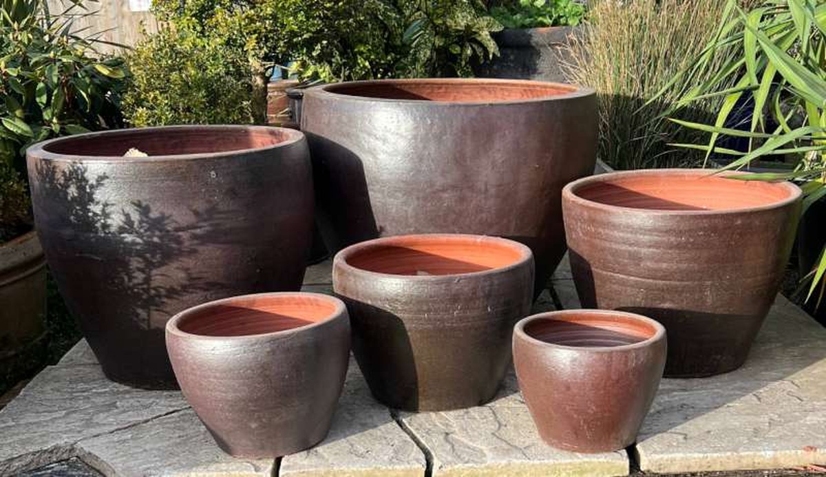 Sůl v květináči: starý český trik proti plísním v bytě