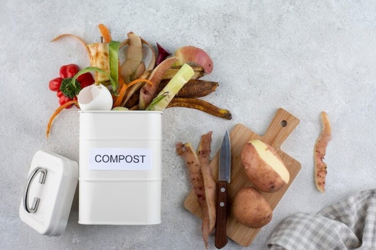Zbytky jídla v kompostu: jak šetřit a pěstovat zároveň