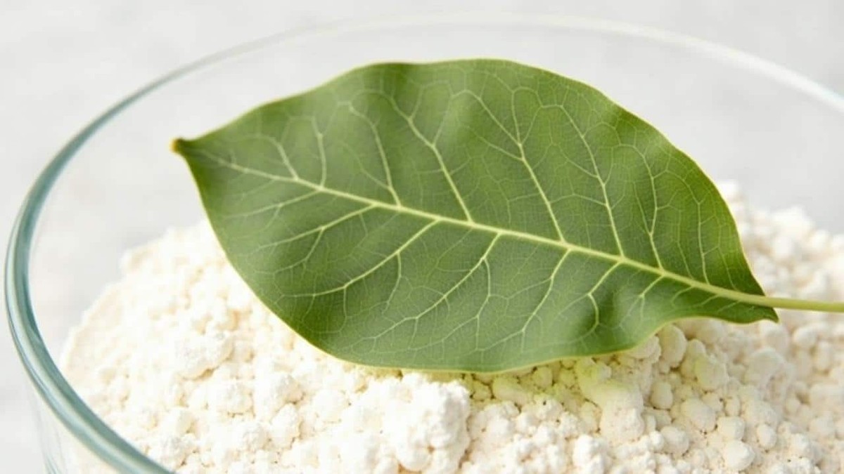 Bobkový list do mouky – jednoduchý trik proti molům, který funguje 100 let - image 2