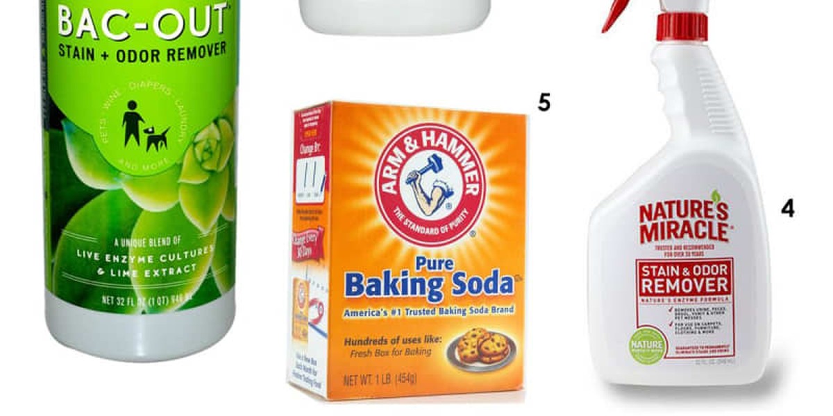 Citronová kůra v mikrovlnné troubě: como odstranit páchnoucí zbytky za 3 minuty - image 2