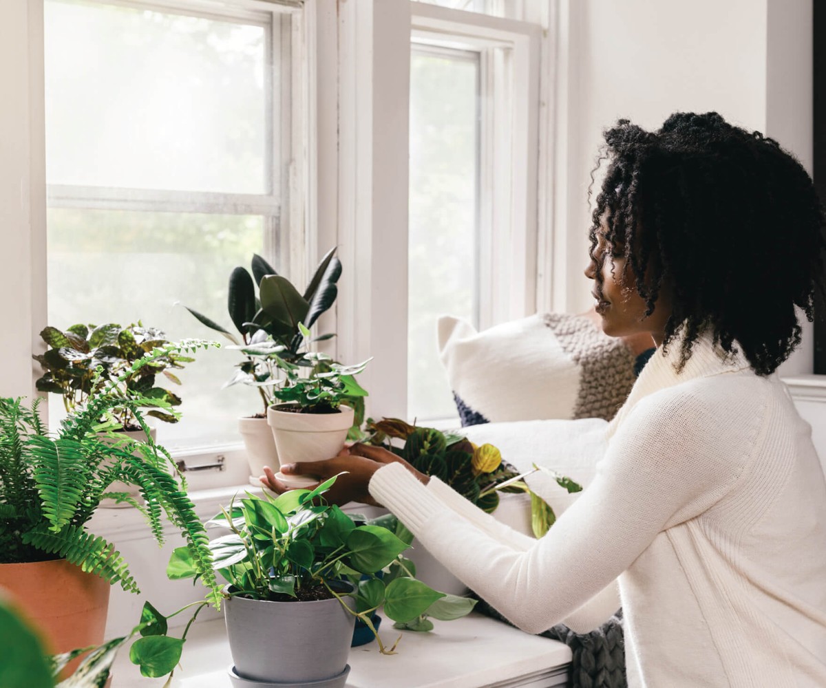 Kuchyňská sůl v květináči: triková na plísně, kterou znají jen údržbáři - image 2