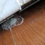 Kuchyňská sůl za radiátorem? Když ji umístíte správně, ušetříte až 25 % na topení