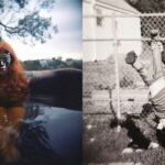 Ocet na zrcadlo – proč to dělají profesionálové