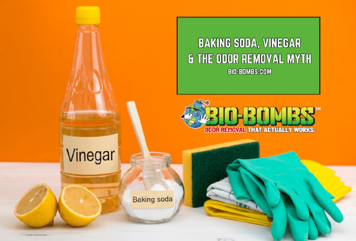 Ocet v misce na nočním stolku: co se stane během noci - image 2