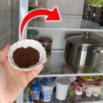 Ocet v sodu na ledničce. Jednoduché řešení pro nepříjemné pachy