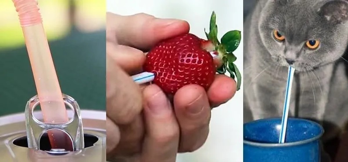 Plastová brčka jako záplata: jak opravit prasknutý hadici za minutu - image 1