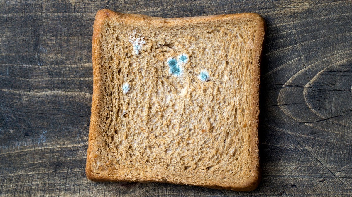 Potravinář varuje: nikdy neuchovávejte chléb v obchodní tašce - image 1