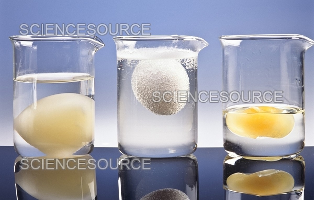 Proč kuchaři vždycky přidají ocet do vody s vajíčky - image 1