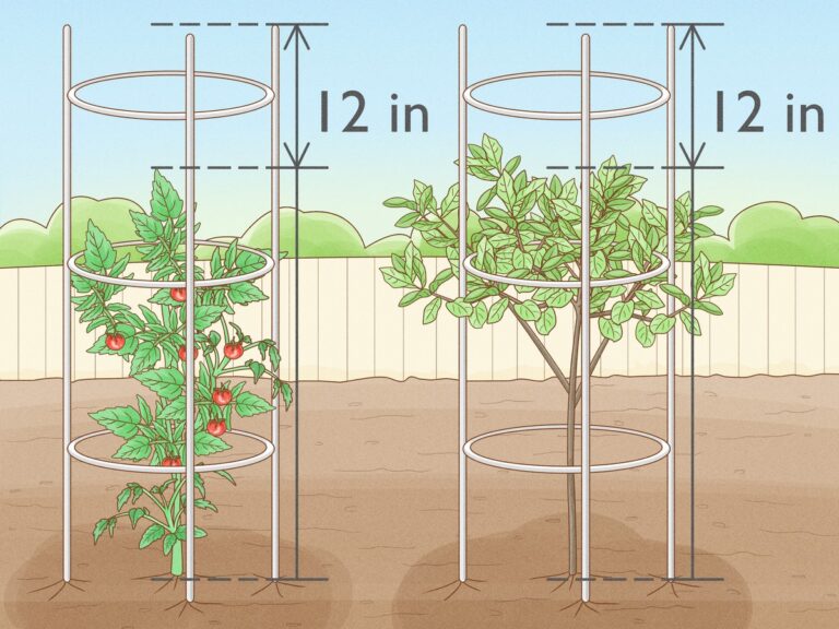 Špejle v květináči řeší mokrou půdu a padající rostliny