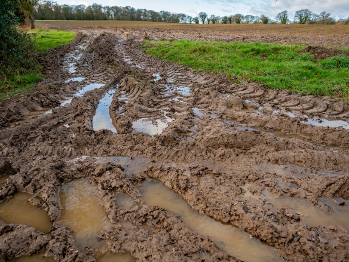 Špejle v květináči řeší mokrou půdu a padající rostliny - image 1