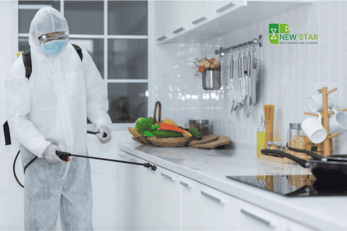 Vložte bobkový list do mouky: starý trik proti molům, který funguje - image 2