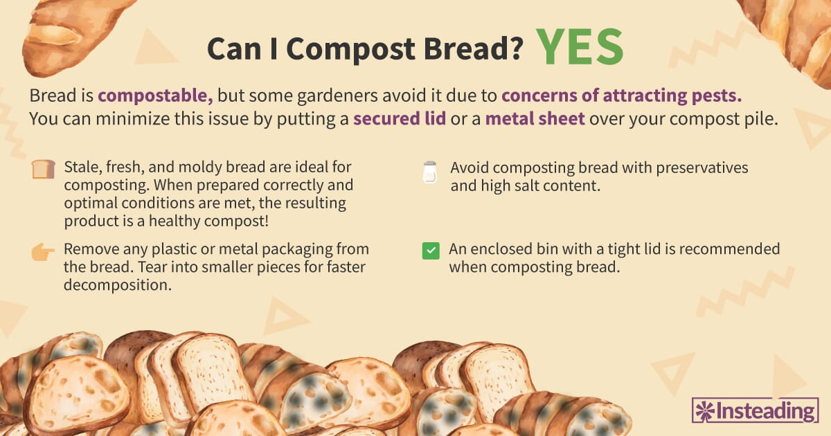 Chlebová kůrka v květináči. Věc, kterou zahradníci vědí už staletí - image 2