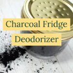 Soda do chladničky nestačí: vyzkoušejte tento starobylý národ