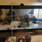 Stará ponožka se zrníčky rýže: Dokonalý sušič vlhkosti do každého rohu bytu