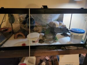 Stará ponožka se zrníčky rýže: Dokonalý sušič vlhkosti do každého rohu bytu