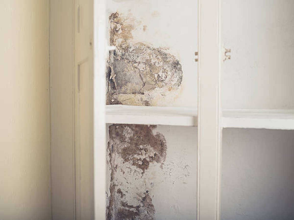 Staré noviny v uzavřené skříni předchází plísni lépe než běžné produkty - image 2