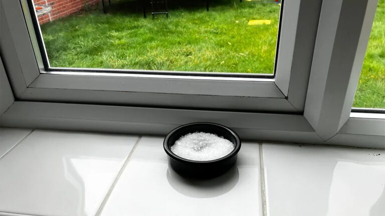 Sůl do špíny na okně: staletý trik proti plísním