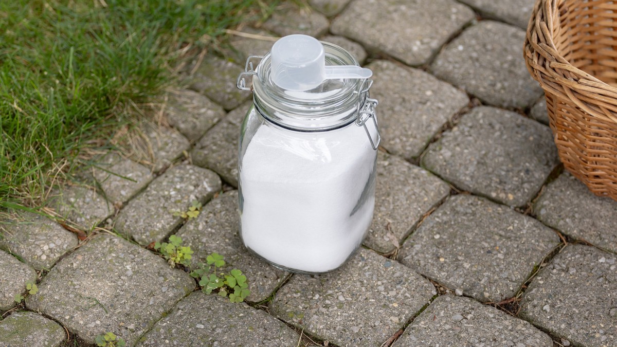 Sůl na trávníku: jednoduchý trik proti nežádoucím rostlinám bez chemie - image 2