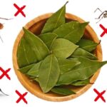 Bobkový list do mouky: Staročeský trik proti molům, kterým se zbavíte nadobro