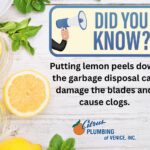 Citrónová kůra do odpadu: jak zbavit kuchyni pachu v 10 sekund