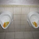 Citrónová slupka v pisoárech: proč to restauratéři dělají každý den