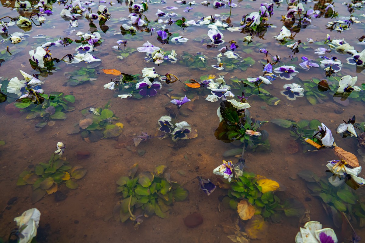 Jak opravit poškrábaný trvalek jedinou věcí z koupelny - image 2