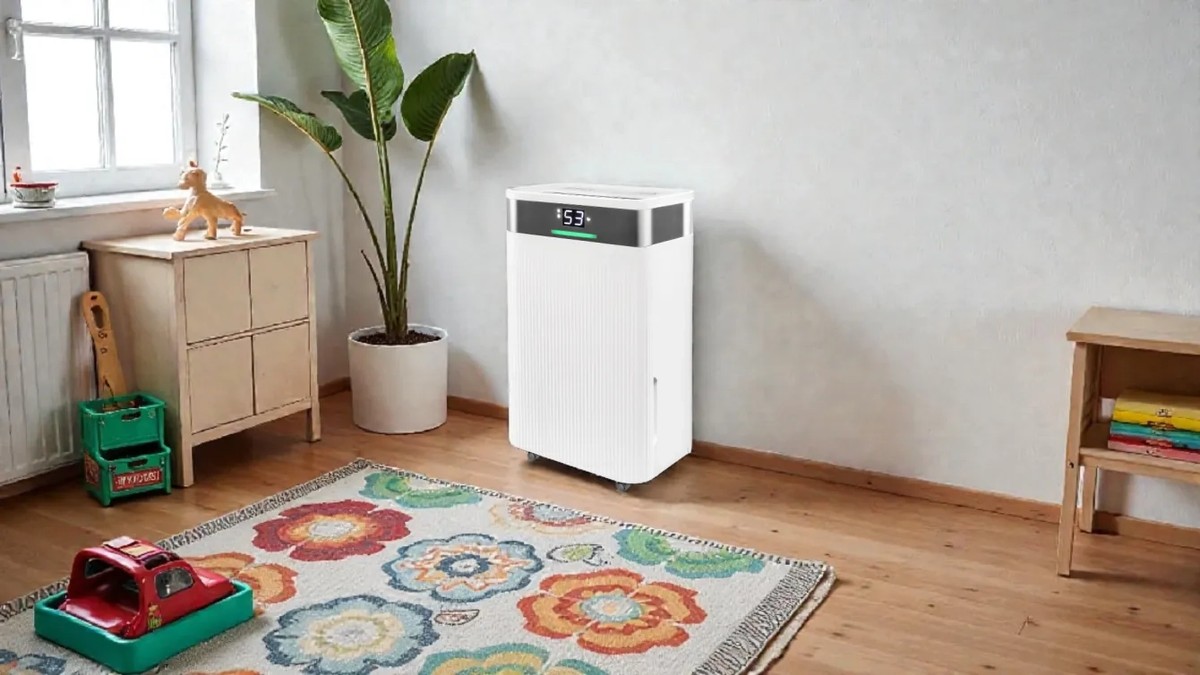 Kávový filtr proti vlhkosti: proč jej skrývají profesionální sprzatanice - image 2