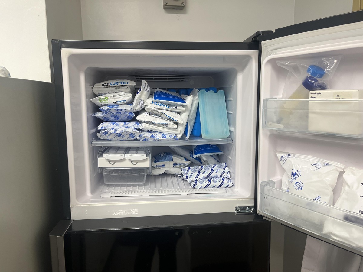 Ledová tříska v zásuvce lednice: základ proti plísním, který nikdo nezná - image 1
