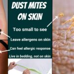 Magnety pod postel proti roztáčům - funguje to fakt?