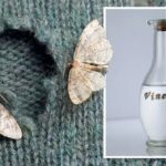 Ocet v uzavřené sklenici proti molům v létě – funguje lépe než sprej