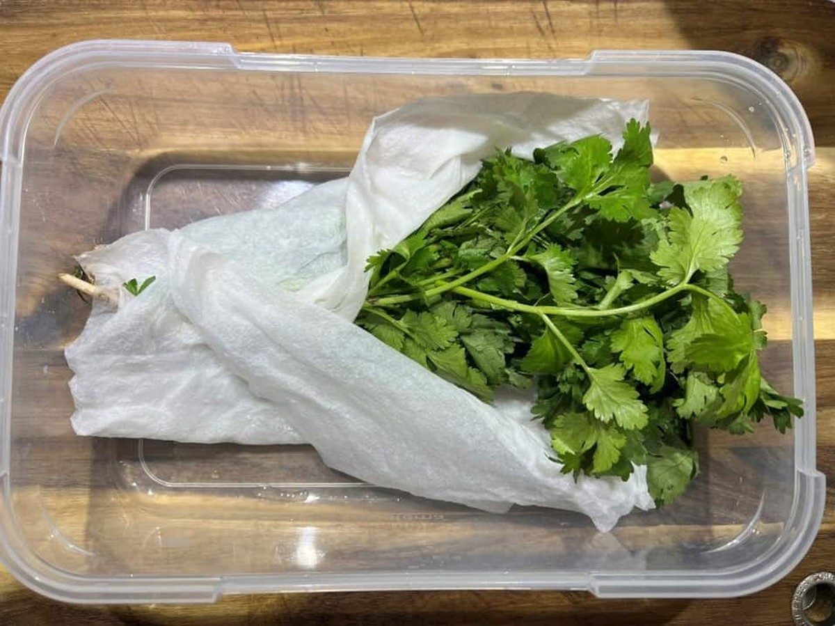 Papírový ubrousek v lednici prodlužuje čerstvost bylinek o týden