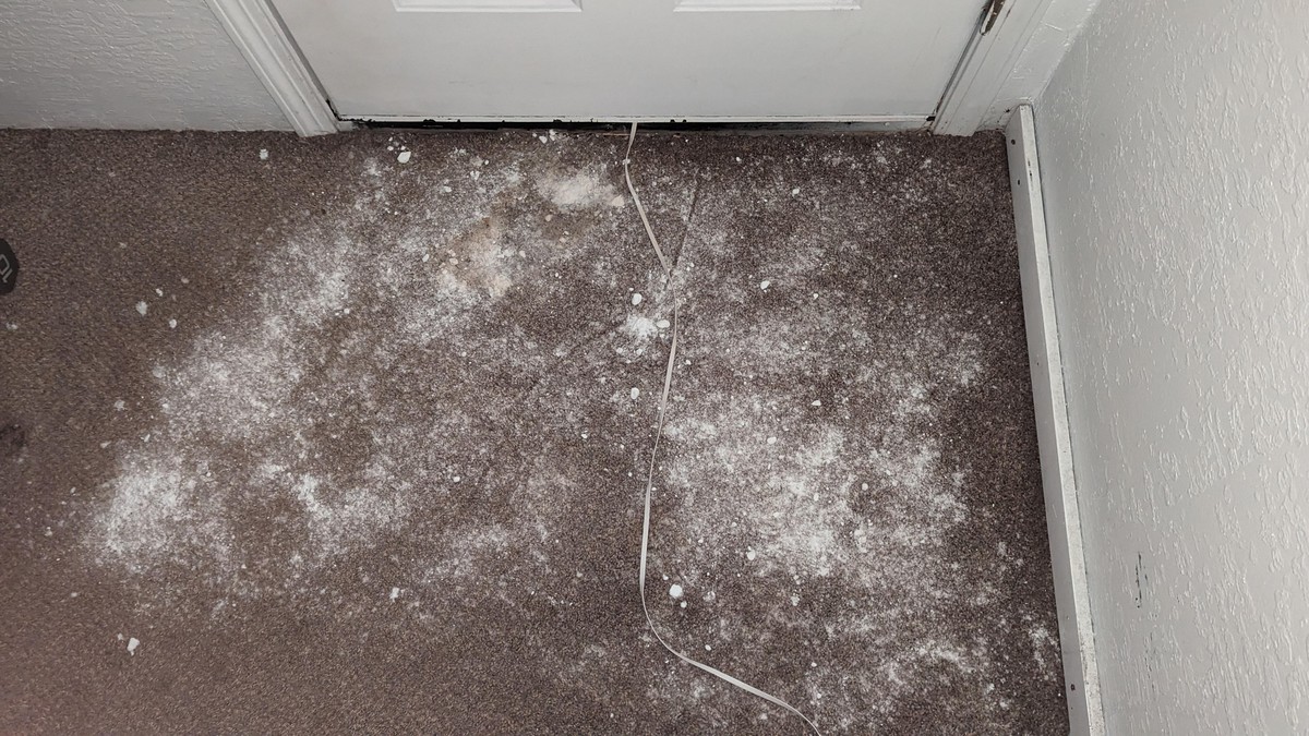 Soda bikarbona na koberce: hasiči ji tedy používají každý den - image 1